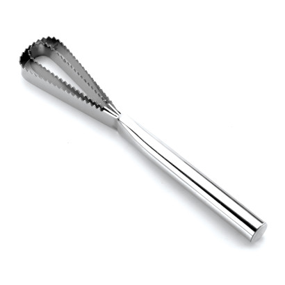 Stainless steel fish scaler