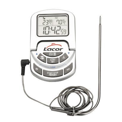 Digital oven thermometer with probe