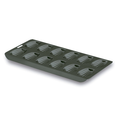 12 cavity madeleine mould Noir