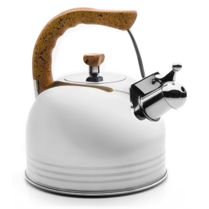 Stainless steel whistling kettle