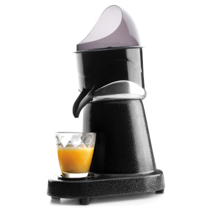 Professional juicer Black